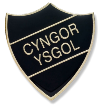 ysgol tremeirchion buttons